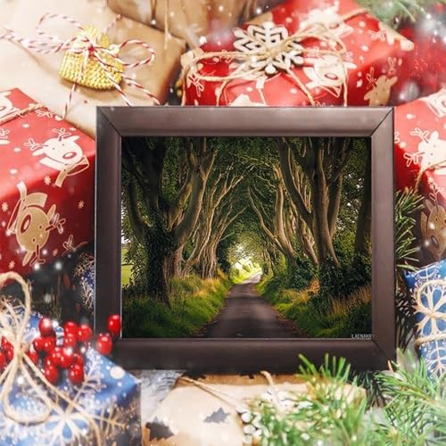 LAENAKR Paint by Numbers Kit for Adults Northern Ireland Sunset 16x20in DIY Color by Numbers Acrylic Paint Frameless Canvas Painting Kits for Beginner Students LAENAKR