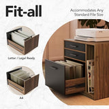 HUANUO Electric L Shaped Standing Desk with File Cabinet, 63" x 55" 2-Tier Height Adjustable Sit Stand up Desk with LED Strip, Power Outrlets & Cable Management Tray, Corner Computer Table, Walnut HUANUO