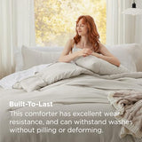 Bedsure Queen Comforter Set, Beige Soft Prewashed Bedding for All Seasons, 3 Pieces GentleSoft™ Bed Set, 1 Lightweight Comforter (90"x90") and 2 Pillowcases (20"x26") Bedsure