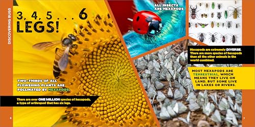 The Fascinating Bug Book for Kids: 500 Startling Facts! (Fascinating Facts) Callisto Kids