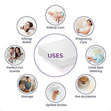 BLISSFORD Plastic Mattress Protector Zippered King, Waterproof Vinyl Mattress Cover, Heavy Duty Noiseless Mattress Encasement BLISSFORD
