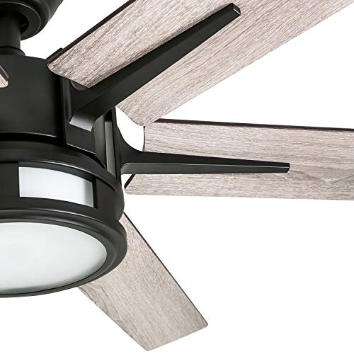 Honeywell Ceiling Fans Kaliza Modern 56 Inch Ceiling Fan with Light, Remote Control Fan, LED Indoor Fan with 6 Blades, Gray Oak and Light Oak Blade Finish Options, Bronze (51036-01) Honeywell Ceiling Fans