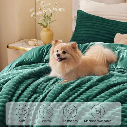 BEDELITE Fleece Twin Comforter Set -Super Soft & Warm Fluffy Dark Green Bedding, Luxury Fuzzy Heavy Bed Set for Winter with 1 Pillow case