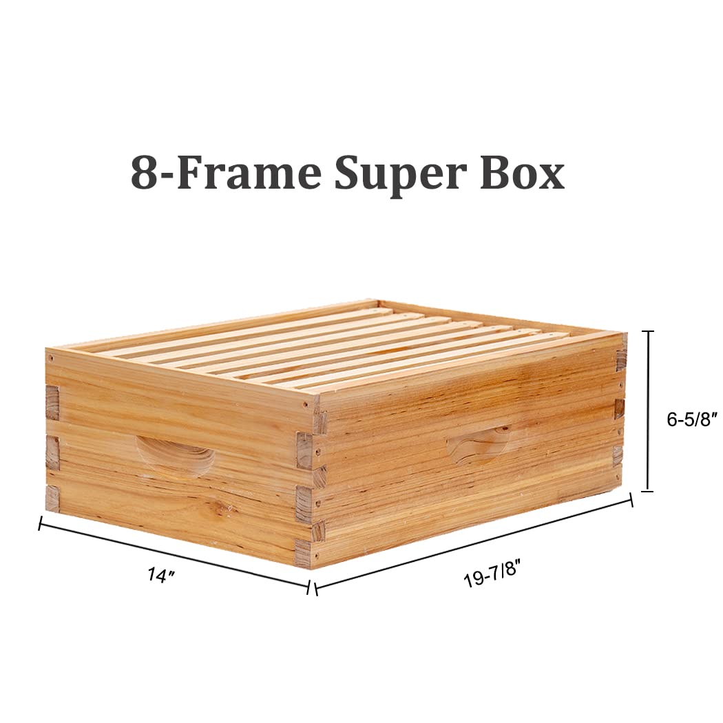 BeeCastle 8 Frame Langstroth Bee Hive Coated with 100% Beeswax Includes Beehive Frames and Waxed Foundations (2 Deep Boxes & 1 Medium Box) BeeCastle