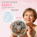 Huacan Embroidery Kit for Beginners Adults Includes Stamped Owl Pattern, Hoop, Color Threads,Tools,Easy to Follow Instruction