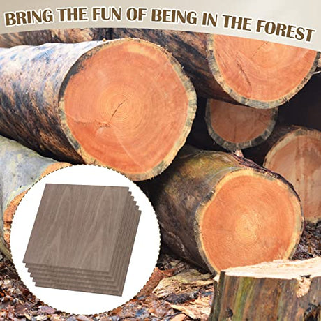 12 Pcs Walnut Unfinished Wood Craft, 12 x 12 x 1/8 Inch - 3mm Thick Walnut Unfinished Plywood for Laser Cutting & Engraving, School DIY Projects, Painting, Fretwork, CNC Cutting, Wood Burning 12 Pcs Vemkyrio