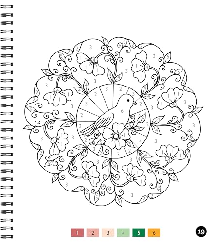 Brain Games - Color by Number - Large Print: Garden WoodArtSupply