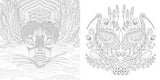 Animal Kingdom: Color Me, Draw Me (A Millie Marotta Adult Coloring Book) Union Square & Co.