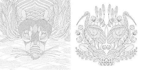 Animal Kingdom: Color Me, Draw Me (A Millie Marotta Adult Coloring Book) Union Square & Co.