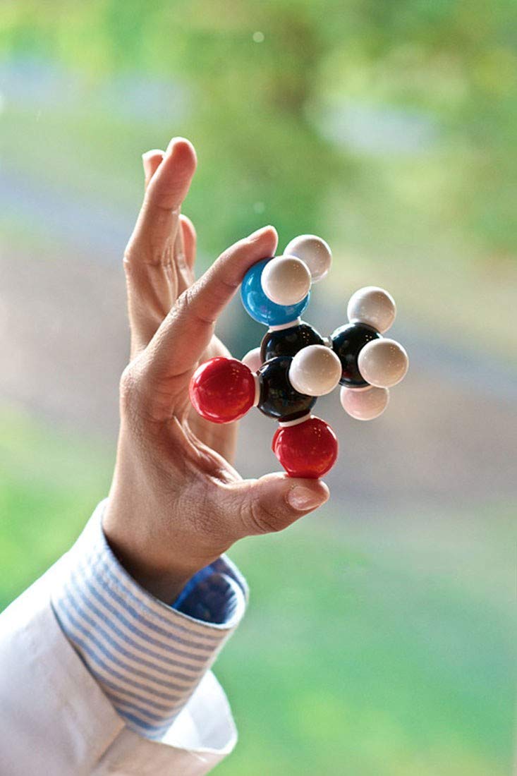 LINKTOR Chemistry Molecular Model Kit (444 Pieces), Student or Teacher Set for Organic and Inorganic Chemistry Learning, Motivate Enthusiasm for Learning and Raising Space Imagination, A Fullerene Set LINKTOR