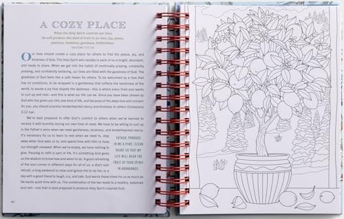 Cozy Moments to Calm Your Heart: Devotional Coloring Book Dayspring