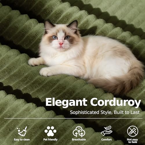 MoonSpeak 78.8''Sleeper Couch Bed for Livingroom,Convertible Modular Sofa with Armrest Pillow,Modular Foldable Corduroy Couches in a Box,No Assembly (Green) MoonSpeak