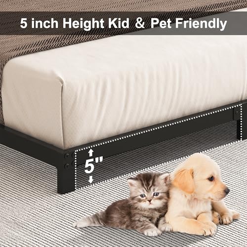 Cieemine 5 Inch Low Bed Frame Twin, Heavy Duty Twin Bed Frames Low Profile, No Box Spring Needed, Easy Assembly, Noise Free, Black Cieemine