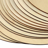 MAHIONG 20 Pack 12 Inch 1/8 Thick Round Wood Circles, Natural Premium Unfinished Wood Circles Wood Rounds, Wood Circles for Crafts Door Hangers Acrylic Painting MAHIONG