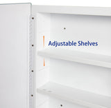 IDYLLOR Plastic Medicine Mirror Cabinet for Bathroom 16 x 26 inch, Surface and Recessed Mount IDYLLOR