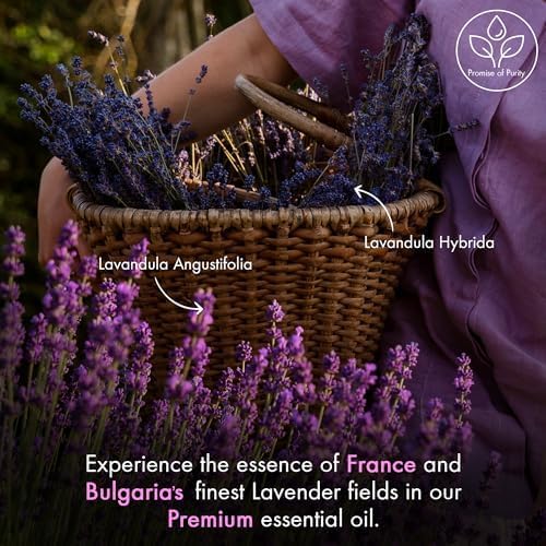 Majestic Pure Lavender Essential Oil with Glass Dropper | 100% Pure and Natural Lavender Oil | Premium Grade Essential Oils for Diffusers, Skin, Aromatherapy, Massage | 4 Fl Oz Majestic Pure