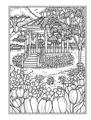 Creative Haven Village Charm Coloring Book (Adult Coloring Books: In The Country) Dover Publications