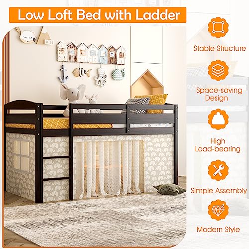 KOTEK Twin Loft Bed, Solid Wood Low Loft Bed for Kids with Ladder & Guard Rails, No Box Spring Needed, Space-Saving Loft Bed Frame for Boys & Girls (Espresso) KOTEK