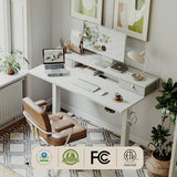 Agilestic 63 x 24 Inches Electric Standing Desk with 2 Storage Drawers, Stand Up Desk Adjustable Height, Sit and Stand Computer Table with Splice Board, White Agilestic