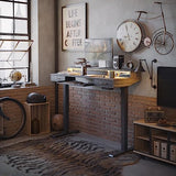 FEZIBO 55 x 25 Inch Height Adjustable Electric Standing Desk with Double Drawers&Keyboard Tray, Stand Up Desk with LED Strips, Sit Stand Desk with Monitor Stand, Rustic Grey FEZIBO