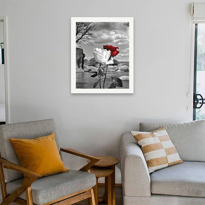 Romantic Rose Paint by Numbers Kit for Adults - DIY Red White Roses on Black and White Background Painting on Canvas 16x20 Inches, Acrylic Paint Set,Suitable for Beginners,Art for Decoration TAOPAOLAB