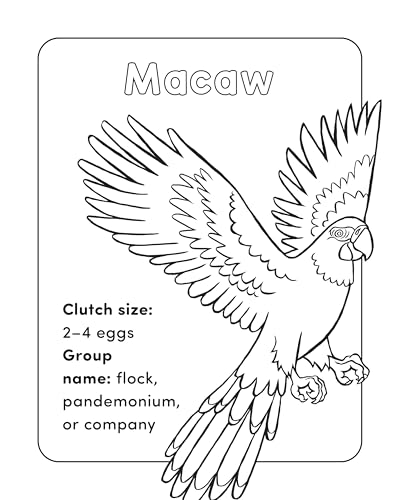 Bird Book for Kids: Coloring Fun and Awesome Facts (A Did You Know? Coloring Book) WoodArtSupply