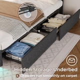 ADORNEVE Dark Grey Queen LED Bed Frame with 4 Drawers & USB Charging Station ADORNEVE