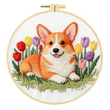Zhenqing Corgi Embroidery Kit for Beginners, Pre-Printed 29x29cm Cotton Fabric with 20cm Hoop, Cute Dog with Tulips Spring Design (C0216)