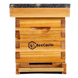 BeeCastle 5 Frame Bee Hive Nuc Box Coated with 100% Beeswax Includes Beehive Frames and Waxed Foundations BeeCastle