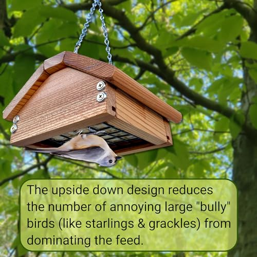 Premium Upside Down Bird Suet Feeder for Woodpeckers | Weather Resistant Cedar Wood, Durable Hardware, Long Lasting Hanging Wild Bird Feeder | Made - WoodArtSupply