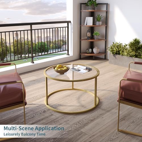 SAYGOER Small Glass Coffee Table Round Gold Coffee Table for Small Space Modern Simple Center Table with Gold Frame for Living Room Home Office, Easy Assembly SAYGOER
