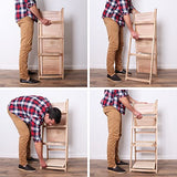 Milltown Merchants Ladder Shelf - Distressed Bookshelf - Rustic Ladder Bookshelf - Leaning Bookshelf for Rustic Home Decor (Turquoise) Milltown Merchants