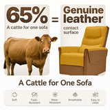 AIRSKY Leather Recliner Chair, Top Grain Leather, Italian Water-Washing Process, Movable Headrest,Swivel Rocker Recliner, Nursery Rocking Chairs,Wall Hugger Recliners, Living Room Chair, R3 (Brown)