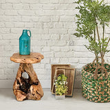 Warmaxx Natural Irregular Shape Tree Stump End Table Plant Stand 14"x13"x18"H Solid Cedar Wood Outdoor Rustic Sit Foot Stools Live Edge Coffee Side Table Living Room Bedroom Outdoor Garden Warmaxx