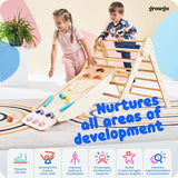 GROWGO Pikler Triangle Climber with Ramp - Toddler Climbing Toys Indoor Montessori Climbing Toy Set Pickle Triangle Montessori, Baby Climbing Toys Indoor, Pickler Set Wooden Play Gym, Kids Climbers GROWGO