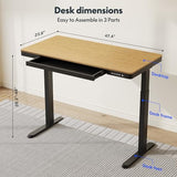 FLEXISPOT Comhar Electric Standing Desk with Drawer Desktop & Adjustable Frame w/USB Charge Ports (Bamboo-Look Laminate/Black, Wood) FLEXISPOT