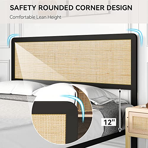 Amyove Boho Queen Bed Frame with Natural Rattan Headboard and Footboard Amyove