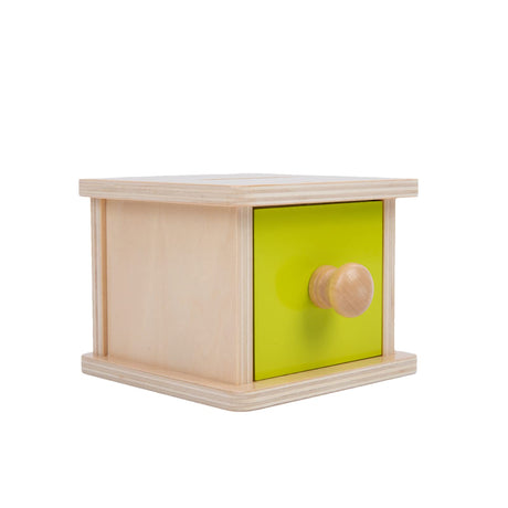 Adena Montessori Coin Box,Object Permanence Box Toys for 1 Year Old Baby Coins,Wooden Montessori Ball Drop Toys Developmental Toys for 6-12 Month Infant Toys,Learning Kids Gifts(Yellow-Green Door) Adena Montessori