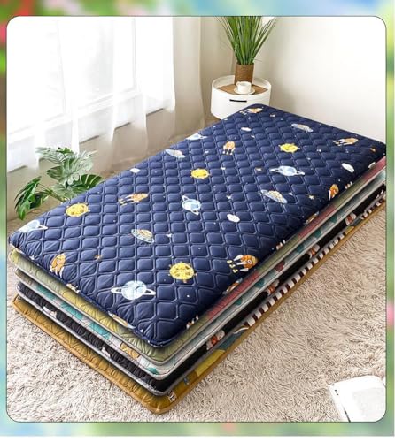 35x75inch Japanese Floor Mattress Futon Mattress,Foldable Tatami Mat Portable Roll Up Sleeping Pad for Dormitory Camping Floor Lounger Bed (Gray) YUURO