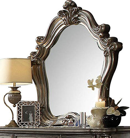 Acme Versailles Mirror in Antique Platinum