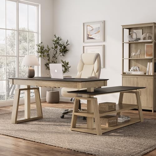 EUREKA ERGONOMIC L Shaped Standing Desk Ark EX, 60in Executive Adjustable Height Office Desk with Drawers,Computer Desk with Storage, Modern Executive Home Office,Oak Grey EUREKA ERGONOMIC