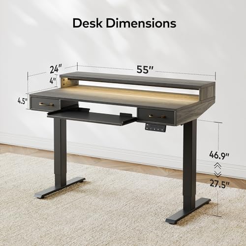 FEZIBO 55 x 25 Inch Height Adjustable Electric Standing Desk with Double Drawers&Keyboard Tray, Stand Up Desk with LED Strips, Sit Stand Desk with Monitor Stand, Rustic Grey - WoodArtSupply