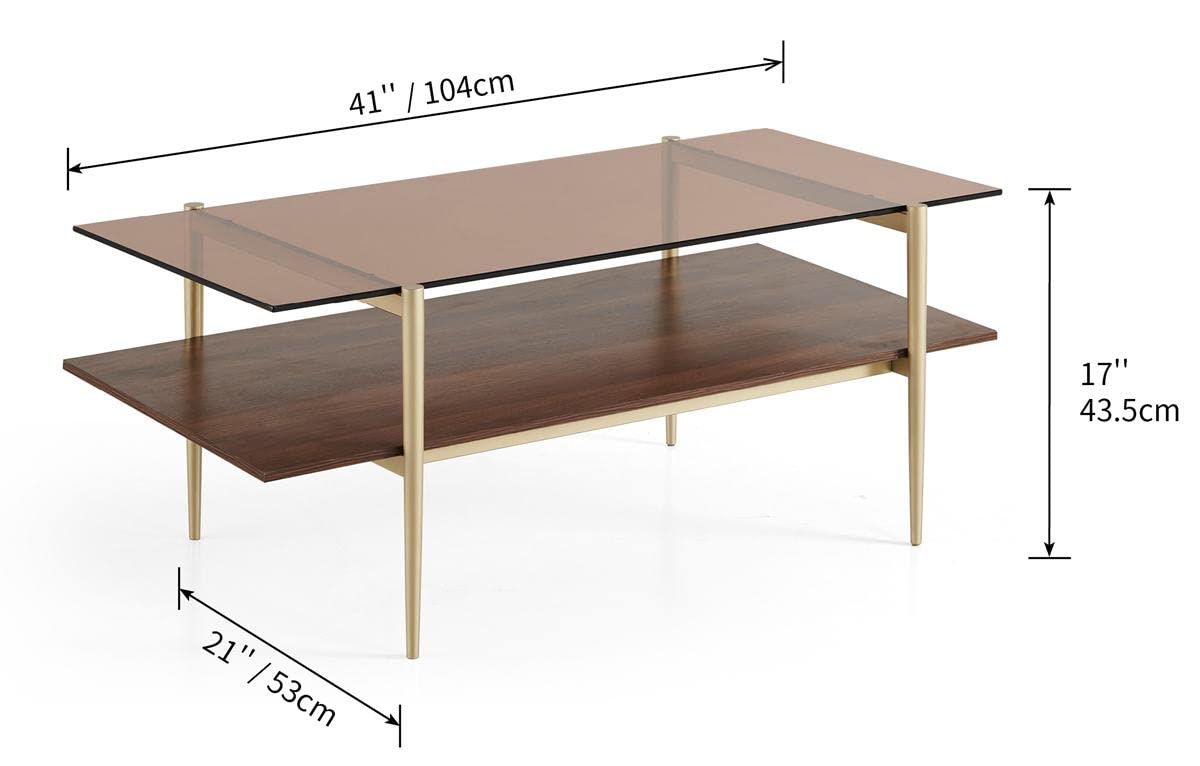 Saint Mossi Tadio Double Layer Glass Coffee Table for Living Room, Brown Glass & Coffee Brown MDF Bottom Shelf SM Saint Mossi