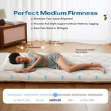 Aircliff Japanese Floor Mattress, Roll Up Tatami Mat, Sleeping Pad, Shikibuton, High Density Foam Floor Bed Futon Mattress for Sleeping, Dormitory, Guest Bed, Designed in Japan(Twin) Aircliff