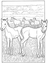 Baby Animals Coloring Book (Dover Coloring Books) Dover Publications