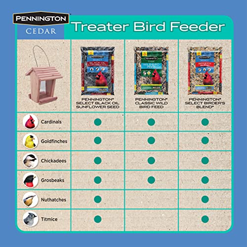 Pennington Cedar Treater Bird Feeder 2 Pounds - WoodArtSupply