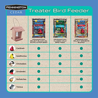 Pennington Cedar Treater Bird Feeder 2 Pounds - WoodArtSupply