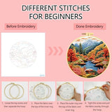 Zhenqing Lake Autumn Forest Embroidery Kit for Beginners, Pre-Printed 29x29cm Circular Cotton Fabric with 20cm Hoop, Fall Lakeside Landscape Design (C0193)