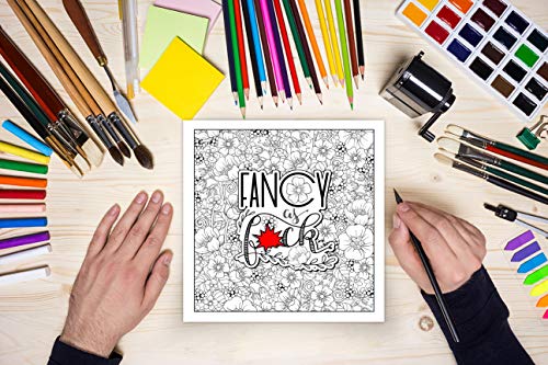 Swear Word Adult Coloring Book: Fresh Out of F*cks WoodArtSupply