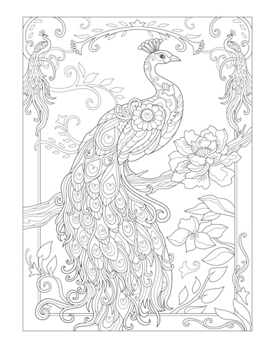 Creative Haven Birds and Blossoms Coloring Book (Adult Coloring Books: Animals) Dover Publications